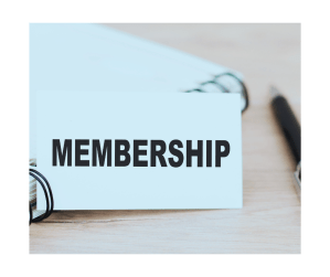 This image has an empty alt attribute; its file name is Untitled-design-8.png